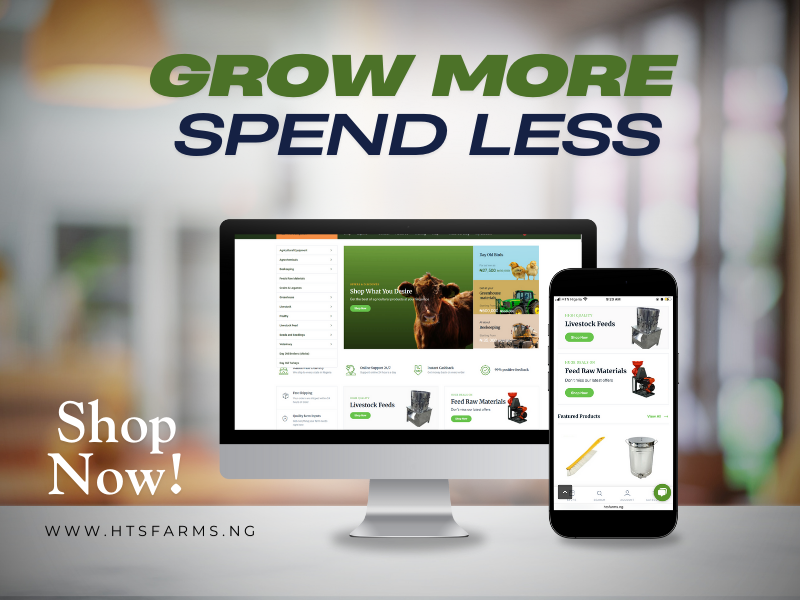 grow more spend less design