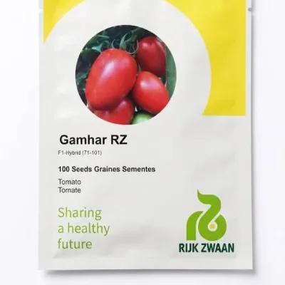 Tomato Gamhar RZ F1 | 100 Seeds