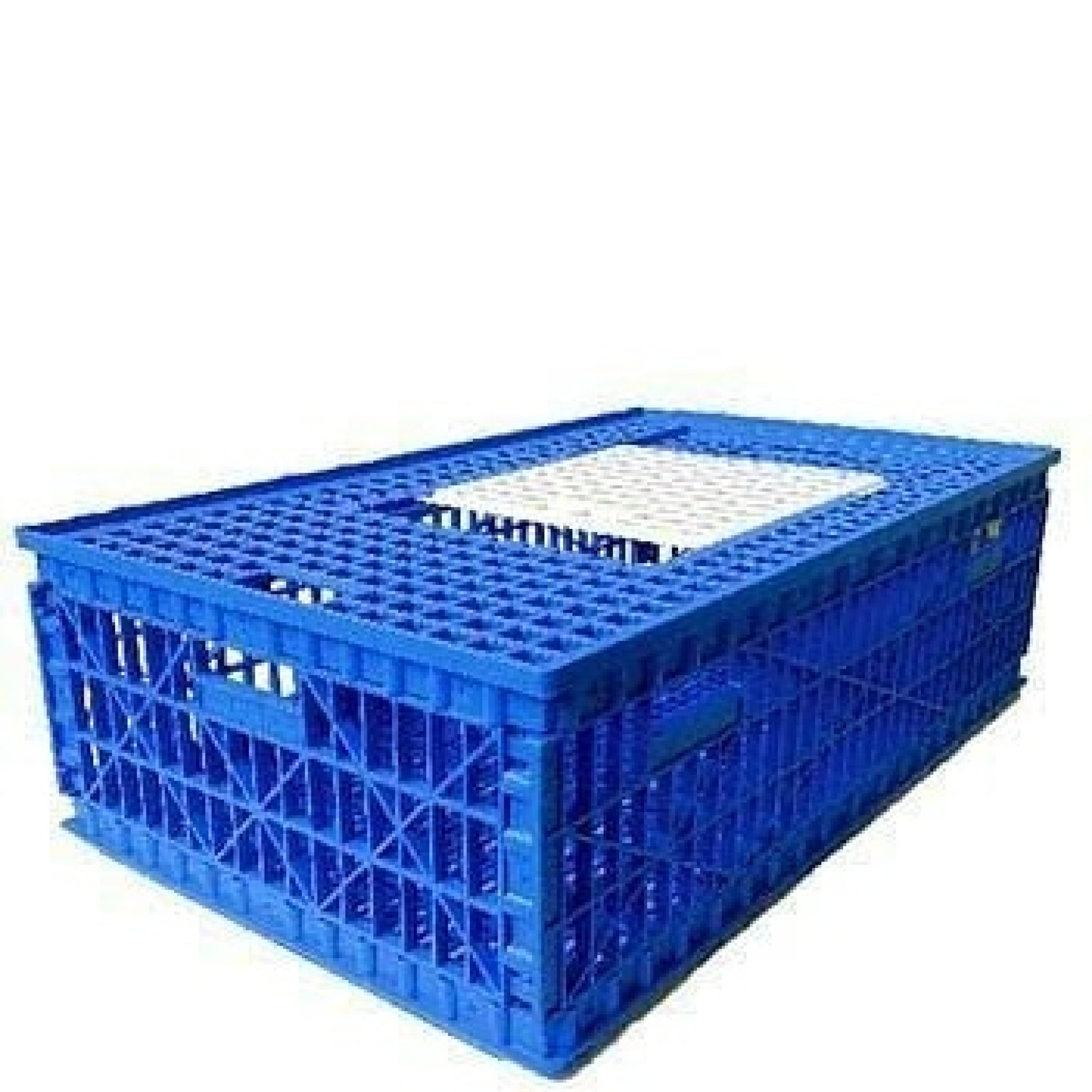 Blue Chicken Transport Crate HTS Farms