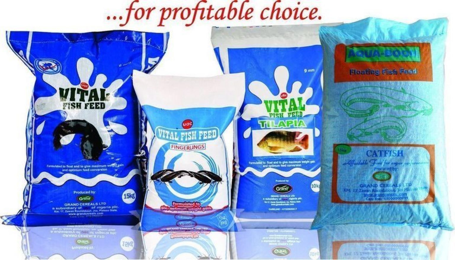 Vital Feed Affordable Fish Feed Prices in Nigeria