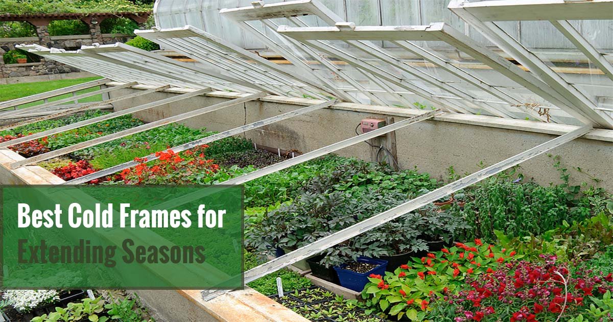 KEEP THE GARDEN GROWING THIS HARMATTAN WITH A COLD FRAME