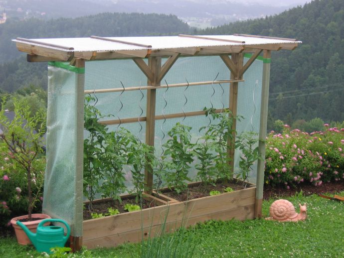 KEEP THE GARDEN GROWING THIS HARMATTAN WITH A COLD FRAME
