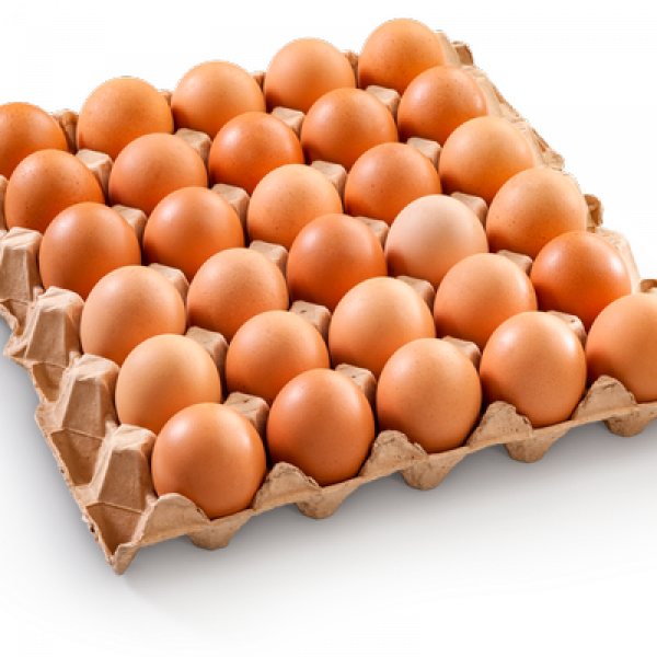 Chicken Eggs HTS Farms