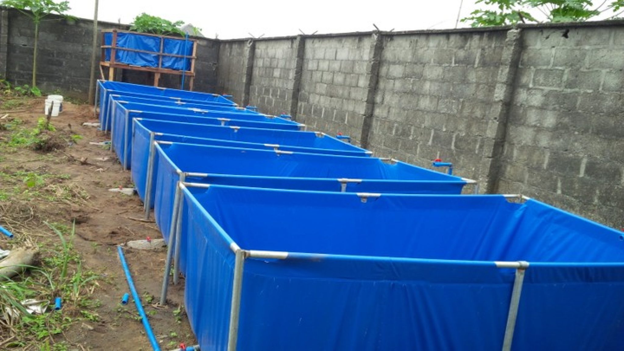 Tarpaulin Fish Pond (5ft by 10ft, 34ft Height 300 Capacity) HTS Farms