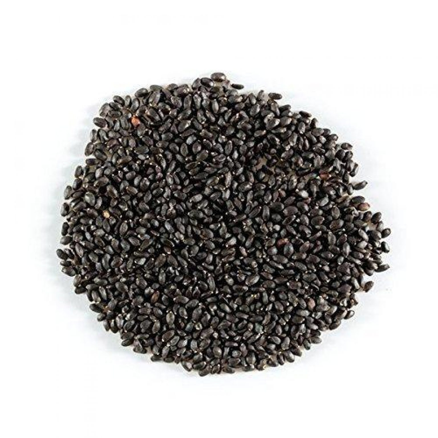 Basil Seeds (25g) HTS Farms