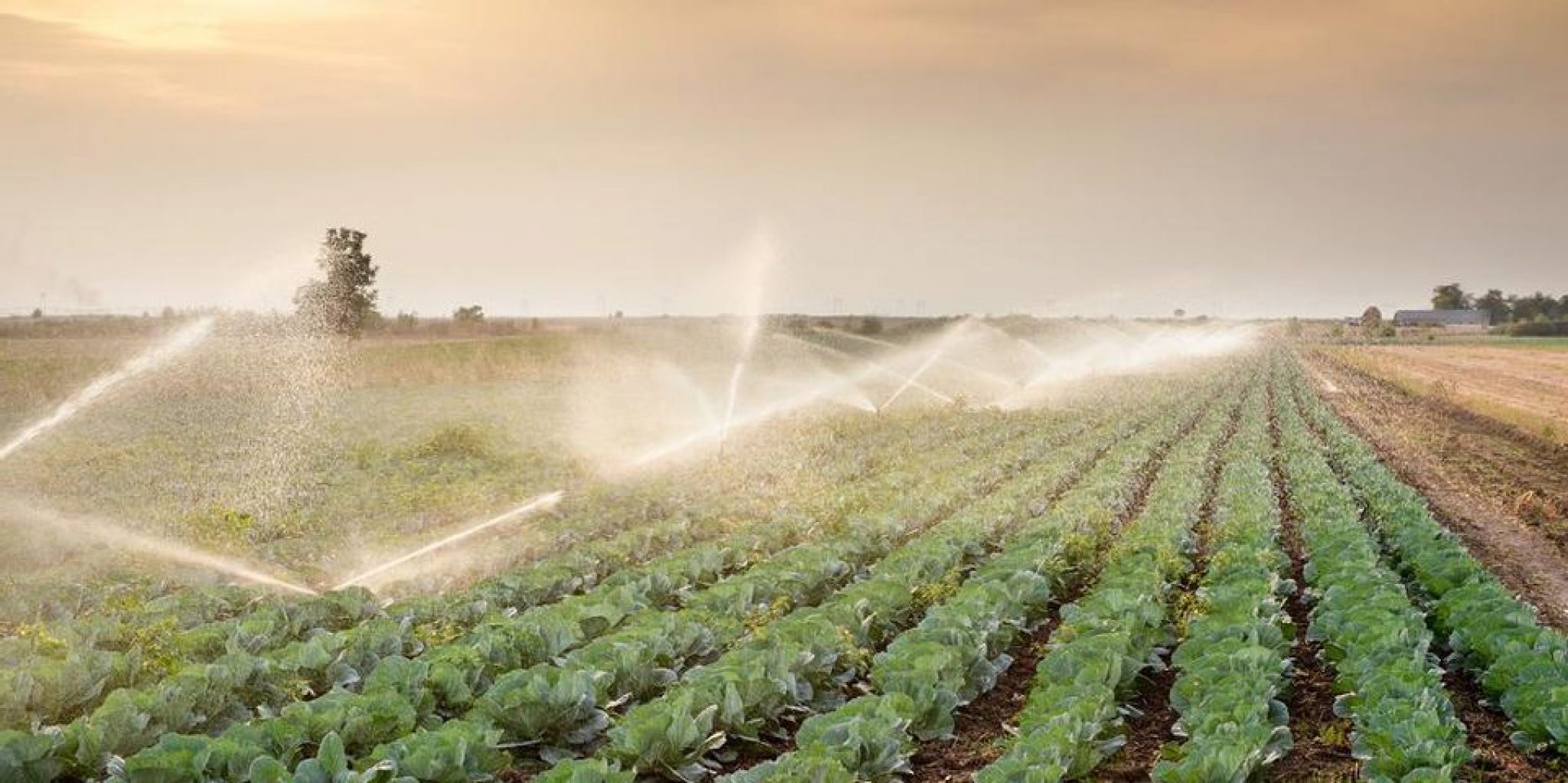 Save money farming by knowing these efficient irrigation systems hts