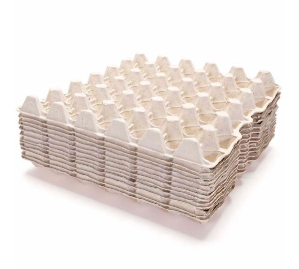 Paper Egg Crates (100 Pcs) HTS Farms