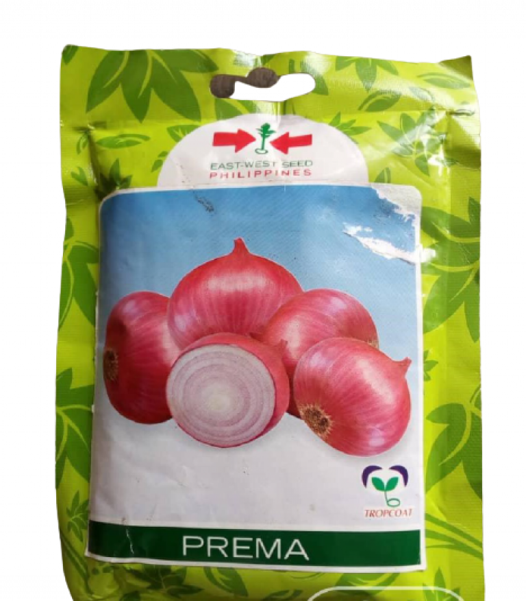 East West Prema Onion Seed 500g HTS Farms