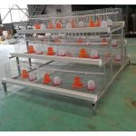 3-Tier Brooding Cage | 120 Capacity