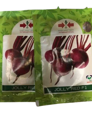 Jolly Red F1 Beetroot