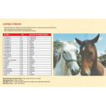 Bio-Mix Pig Horse Premix | 25kg