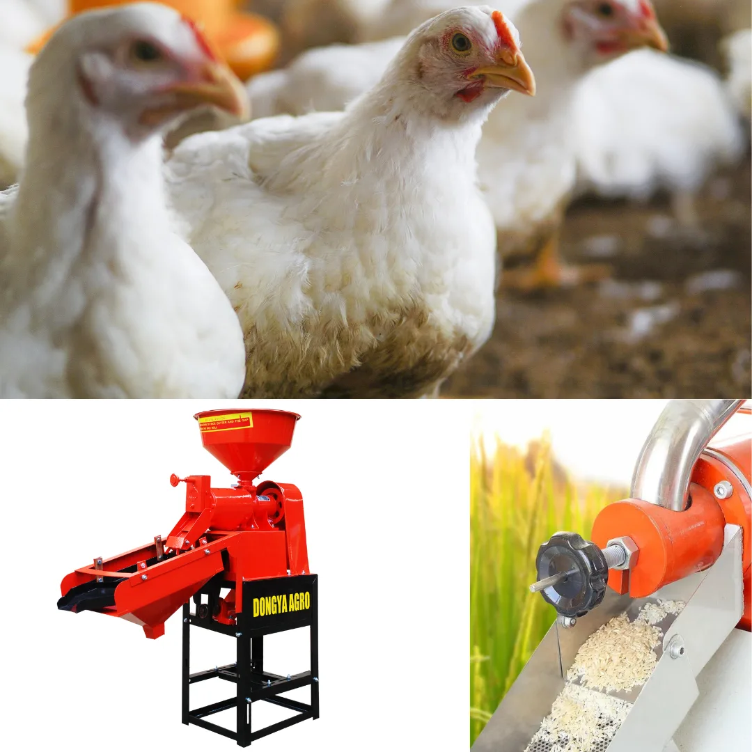 How to Start a Poultry Farm in Nigeria and Rice Milling Business