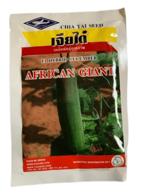 F1 Hybrid African Giant Cucumber | 10g and 50g