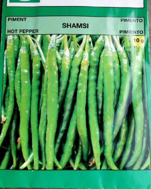 Technisem Shamsi Pepper Seeds