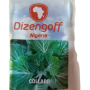 Collard Seeds Dizengoff