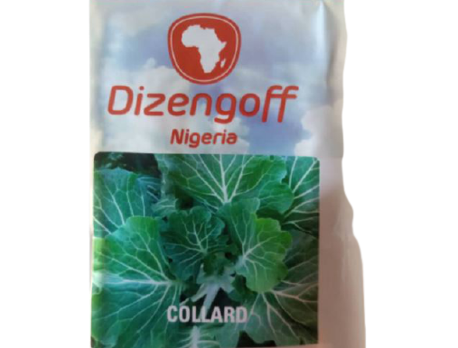 Collard Seeds Dizengoff