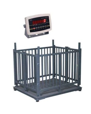 Digital Livestock Scale with Chute and Indicator