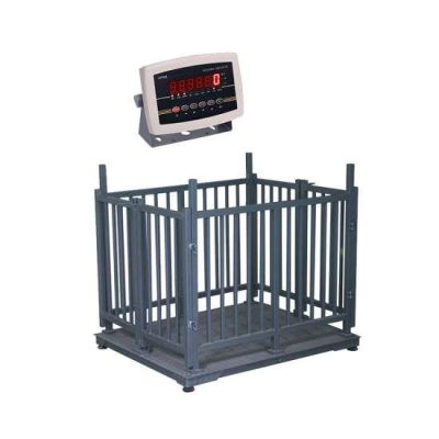 Digital Livestock Scale with Chute and Indicator