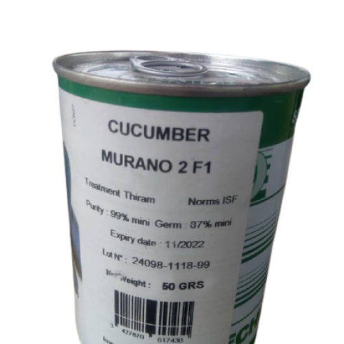 Murano 2 F1 Cucumber (Technisem | 50g)