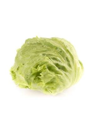 Iceberg - Green Outdoor Summer - Nomugi RZ