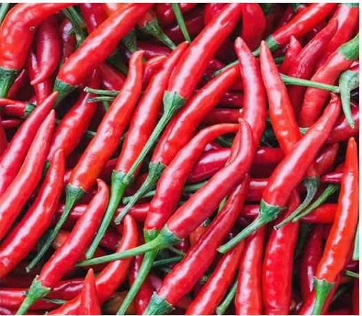 Sunny F1 Pepper Seeds