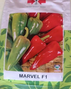 East West Marvel F1 (Tatashe) 500 Seeds