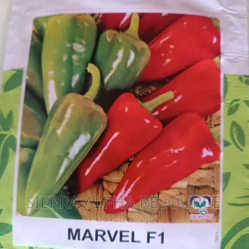 East West Marvel F1 (Tatashe) 500 Seeds