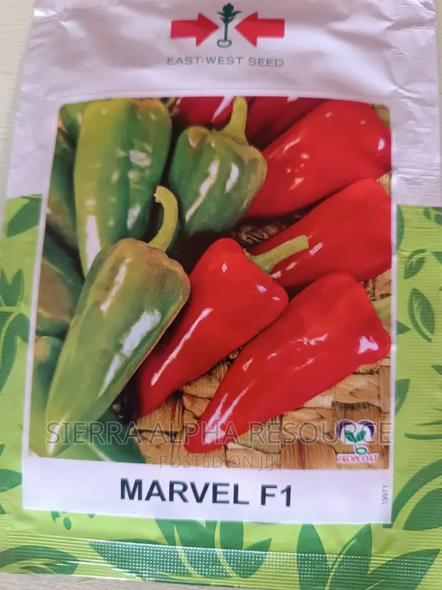 East West Marvel F1 (Tatashe) 500 Seeds