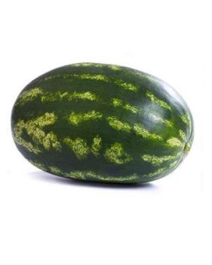 Watermelon Morgan RZ F1