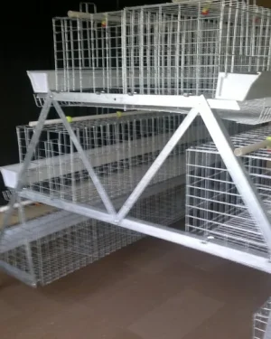 3-Tier Imported Battery Cage