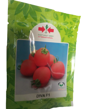 East West Diva F1 Tomato Seed (5g)