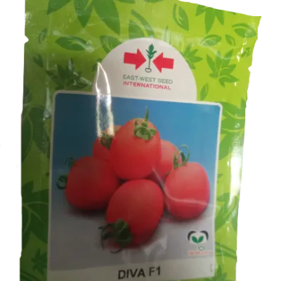 East West Diva F1 Tomato Seed (5g)
