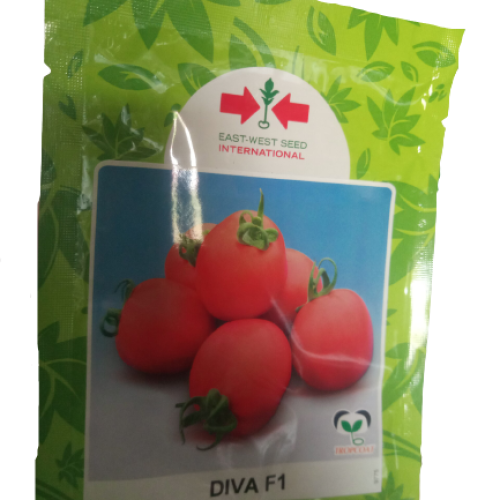 East West Diva F1 Tomato Seed (5g)