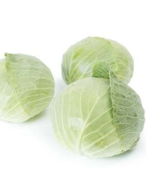 White Cabbage Tacoma RZ F1 [1000 Seeds]