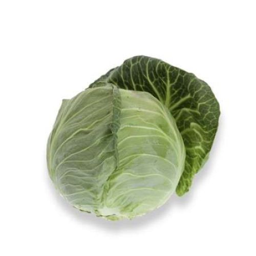 White Cabbage Toughma RZ F1 [1000 Seeds]