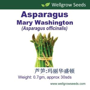 Wellgrow Asparagus Mary Washington Seeds