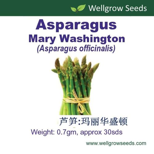 Wellgrow Asparagus Mary Washington Seeds (0.7gm, approx 30 sds)