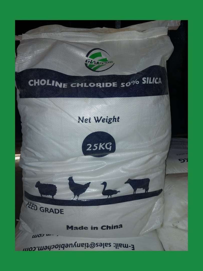Choline Chloride Feed Grade