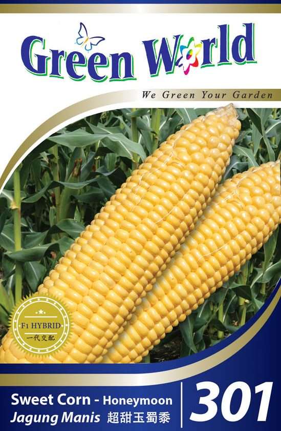 301 Sweetcorn Honeymoon F1