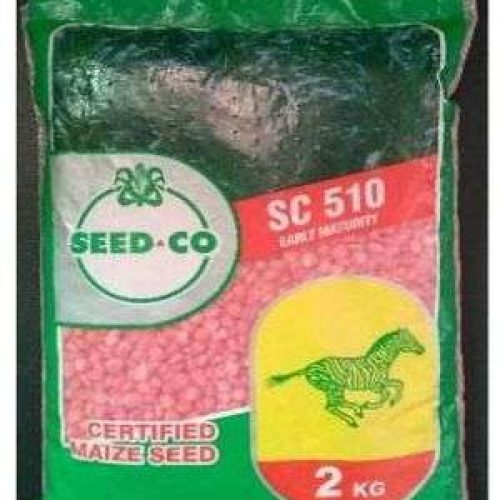 Seed Co Maize Seeds (SC 510 Early Maturity) | 5kg