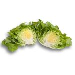 Butterhead Ballerina RZ Seeds