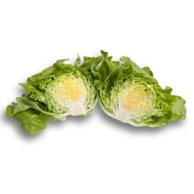 Butterhead Ballerina RZ Seeds | 1000 Seeds