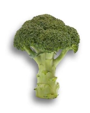 Broccoli Tahoe RZ F1 (1000 Seeds)