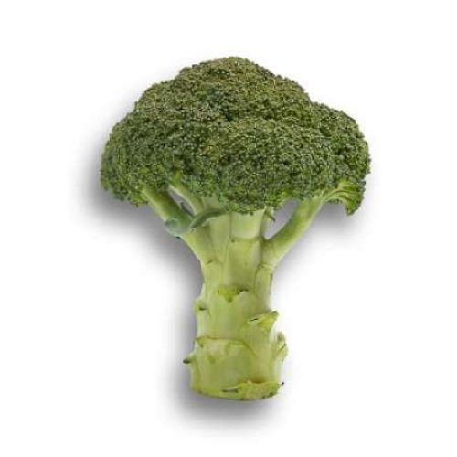 Broccoli Tahoe RZ F1 (1000 Seeds)