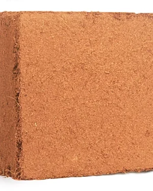 Buffered Cocopeat Bricks | 3.5kg from HTS Farms