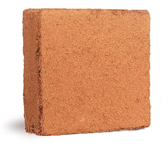 Buffered Cocopeat Bricks | 3.5kg from HTS Farms