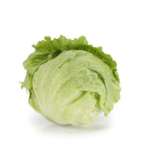 Iceberg Lettuce - Cartagenas RZ