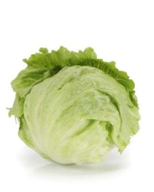 Iceberg Lettuce - Cartagenas RZ