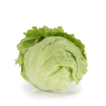 Iceberg Lettuce - Cartagenas RZ