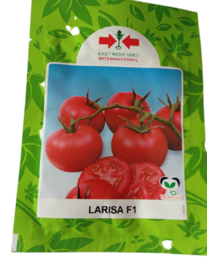 East West Larisa F1 Tomato Seeds - 5g